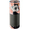 Looney Tunes Pussyfoot Amazon Echo Skin
