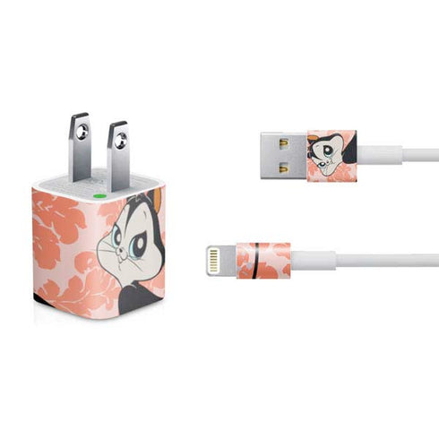 Looney Tunes Pussyfoot iPhone Charger (5W USB) Skin