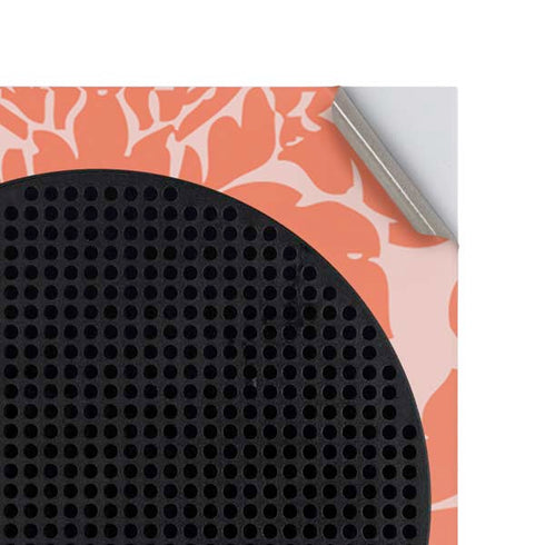 Looney Tunes Pussyfoot Xbox Series S Console Skin