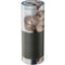 Putti by Raphael Amazon Echo Skin