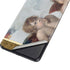 Raphael The Cherubim Putti Angels of The Sistine Madonna Galaxy S21 Ultra 5G Skin