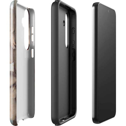 Putti by Raphael Galaxy S24 Impact Case