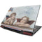 Putti by Raphael Lenovo IdeaPad Skin