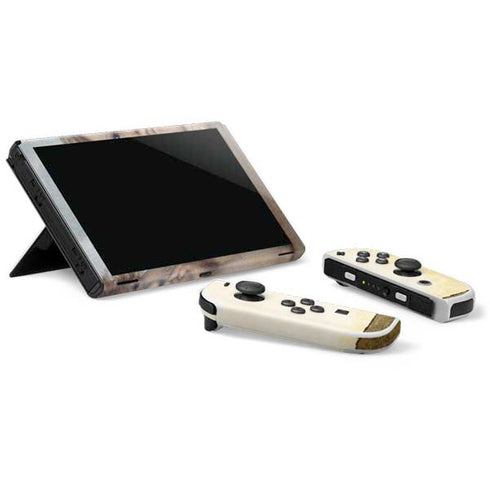 Raphael The Cherubim Putti Angels of The Sistine Madonna Nintendo Switch OLED (2021) Skin