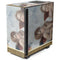 Raphael The Cherubim Putti Angels of The Sistine Madonna NZXT H510 Compact ATX Mid-Tower Case Skin