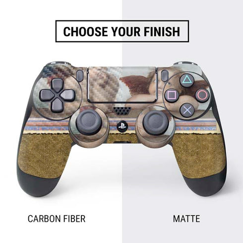 Putti by Raphael PS4 Controller Skin