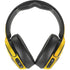 Radioactivity Large Skullcandy Venue Skin