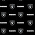 NFL Raiders Blitz Series Nintendo 2DS XL (2017) Skin