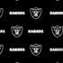 NFL Raiders Blitz Series Moto G6 Skin