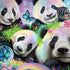Rainbow Pandas with Butterflies by Sheena Pike Dell Alienware Skin