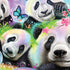 Rainbow Pandas with Butterflies by Sheena Pike PS4 Console and Controller Bundle Skin