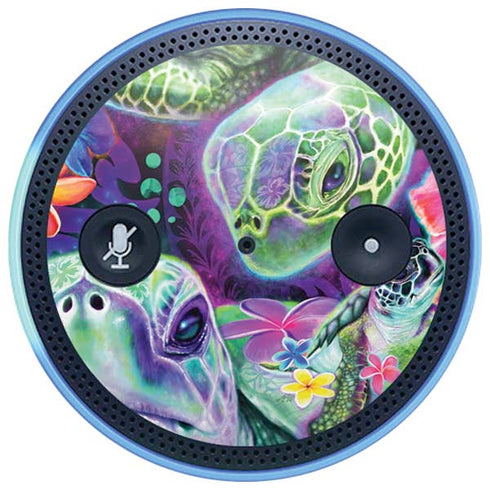 Rainbow Sea Turtles by Sheena Pike Amazon Echo Skin