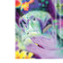 Rainbow Sea Turtles by Sheena Pike Bose Noise Cancelling Headphones 700 Skin