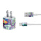 Rainbow Sea Turtles by Sheena Pike iPhone Charger (5W USB) Skin