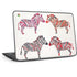 Rainbow Zebras by Cat Coq HP Chromebook Skin