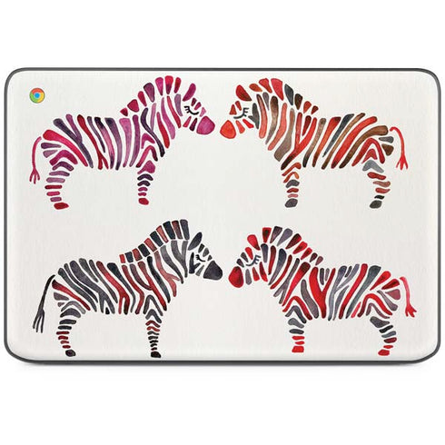 Rainbow Zebras by Cat Coq HP Chromebook Skin