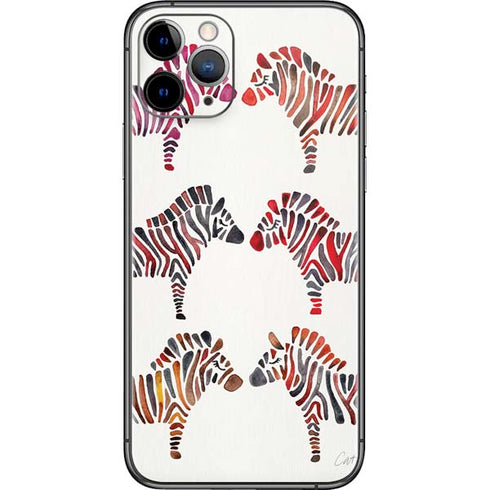Cat Coq Rainbow Zebras iPhone 11 Pro Skin