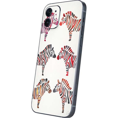 Cat Coq Rainbow Zebras iPhone 12 Mini Skin