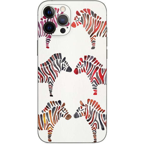 Cat Coq Rainbow Zebras iPhone 12 Pro Max Skin