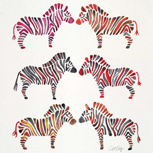 Cat Coq Rainbow Zebras PS4 Console and Controller Bundle Skin