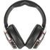 Cat Coq Rainbow Zebras Skullcandy Venue Skin