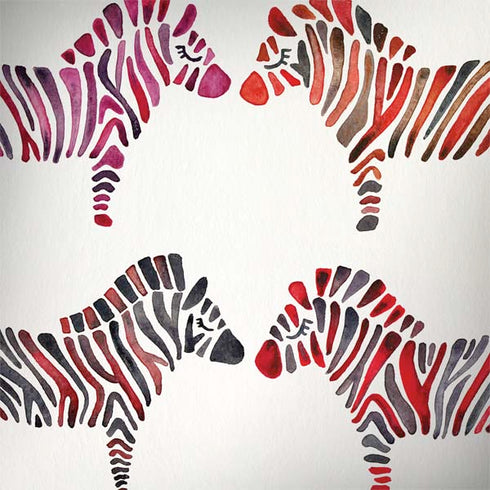 Cat Coq Rainbow Zebras HP Spectre Skin