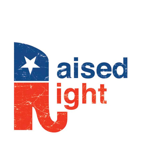 Raised Right Nintendo 2DS XL (2017) Skin