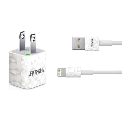 Disney Princess Rapunzel Chromatic iPhone Charger (5W USB) Skin