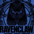 Wizarding Worlds Harry Potter Ravenclaw Illustration Dell Alienware Skin