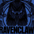 Wizarding Worlds Harry Potter Ravenclaw Illustration HP Spectre Skin