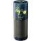 Disney Princess and The Frog Ray Amazon Echo Skin