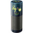 Disney Princess and The Frog Ray Amazon Echo Skin