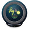 Disney Princess and The Frog Ray Fast Charge Wireless Charging Stand Skin