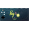 Disney Princess and The Frog Ray Xbox Adaptive Controller Skin