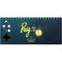 Disney Princess and The Frog Ray Xbox Adaptive Controller Skin