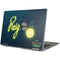 Disney Princess and The Frog Ray Yoga 710 14in Skin
