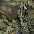 NFL Realtree Camo Dallas Cowboys iPhone X Skin