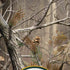 NFL Realtree Camo Green Bay Packers Galaxy Note 8 Skin