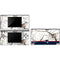 NFL Realtree Camo New England Patriots DS Lite Skin