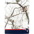 NFL Realtree Camo New England Patriots PS5 Bundle Skin