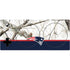 NFL Realtree Camo New England Patriots Xbox Adaptive Controller Skin
