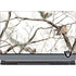 NFL Realtree Camo Las Vegas Raiders MSI GS65 Stealth Laptop Skin