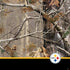 NFL Realtree Camo Pittsburgh Steelers PS4 Controller Skin