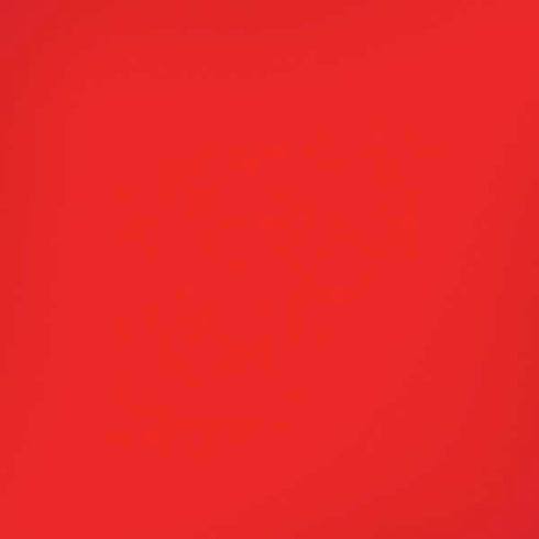 Red Solid iPhone XS Skin