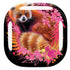 Red Panda with Flowers by Sheena Pike Galaxy Buds Live Skin
