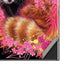Red Panda with Flowers by Sheena Pike Galaxy Note20 Ultra 5G Skin