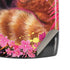 Red Panda with Flowers by Sheena Pike Motorola RAZR Skin