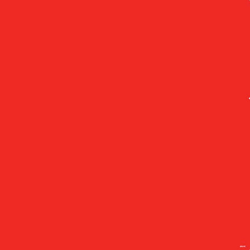 Red Solid PS4 Controller Skin