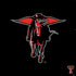 Texas Tech University Red Raiders Logo PS4 Slim Skin