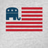 Republican American Flag iPhone XR Skin